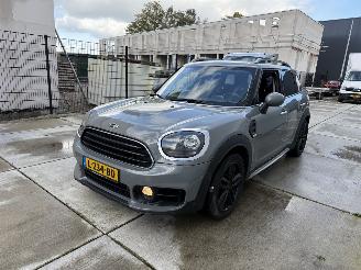 Mini Countryman 1.5 Cooper Chili AUTOMAAT-CAMERA-NAVI-PDC 2017/2