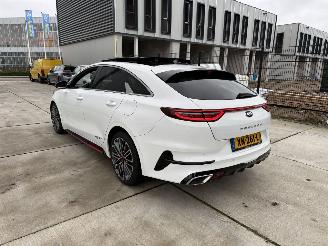 Kia Proceed 1.6 T-GDI-GT AUTOMAAT-PANO-CAMERA-NAVI-PDC picture 4