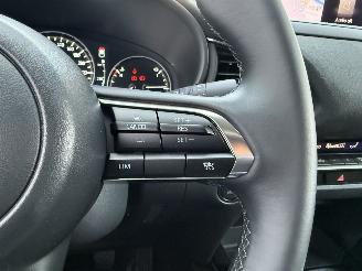 Mazda CX-30 2.5 e-SkyActive-G M Hybrid Nagisa-LEDER-HUD-NAVI-CAMERA picture 19