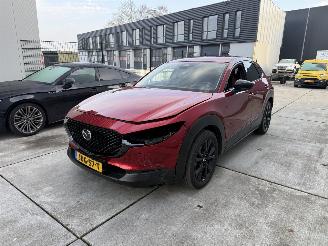 Mazda CX-30 2.5 e-SkyActive-G M Hybrid Nagisa-LEDER-HUD-NAVI-CAMERA picture 2