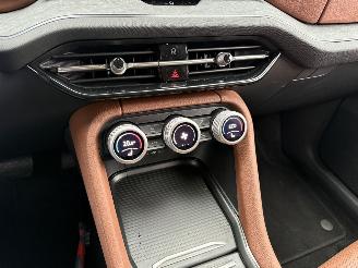 Skoda Kodiaq 1.5 TSI PHEV DSG 225 PK NAVI-LEDER-PDC-CAMERA picture 19