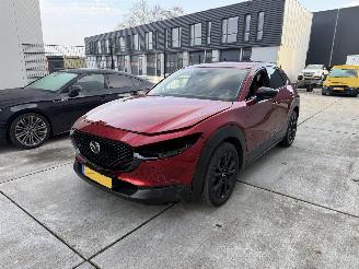 Mazda CX-30 2.5 e -SkyActive-G M Hybrid Nagisa-LEDER-CAMERA-HUD-NAVI-PDC picture 2