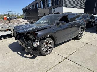 Unfallwagen Skoda Kodiaq 1.5 TSI PHEV SPORTLINE Business-PANO-CAMERA-NAVI 2025/1