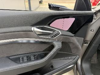 Audi E-tron E-TRON 55 quattro advanced 95 kWh-PANO-LEDER-360 CAMERA picture 15
