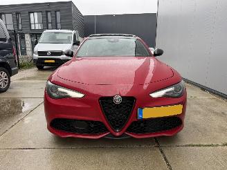 Alfa Romeo Giulia 2.0 T GME AWD VELOCE-PANO-LEDER-NAVI-CAMERA picture 13