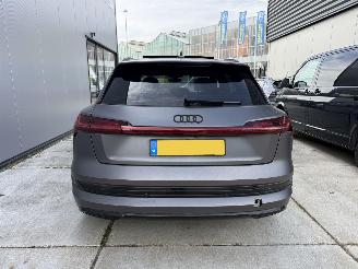 Audi E-tron 55Quatro 95 kWh 360 CAMERA-NAVI-LEDER-PANO-408 PK picture 7
