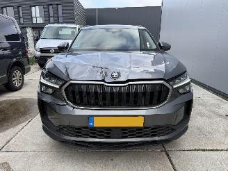 Skoda Kodiaq 1.5 TSI MHEV Business Edition KEYLESS-NANI-CAMERA-PDC picture 14