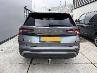 Skoda Kodiaq 1.5 TSI MHEV Business Edition KEYLESS-NANI-CAMERA-PDC picture 7