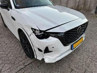 Mazda CX-60 2.5 E-SkyActiv PHEV 4x4 Homura Bose Orgineel Nederlandse Auto Nap! 360Camera picture 15