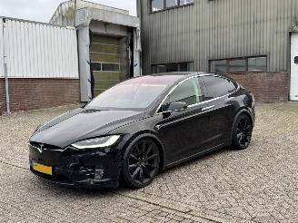  Tesla Model X 100D 417PK AutoPiloot 2017/9