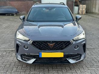 Cupra Formentor 1.4 E-Hybrid VZ Performance 360Camera Geen Schade picture 7