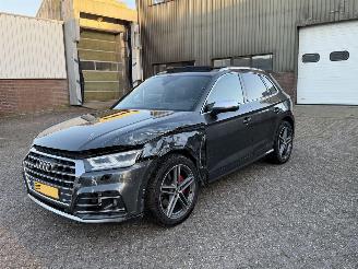 Audi SQ5 3.0 TFSI 354Pk Quattro Pano Bang&Olufsen Sfeerverlichting Head-Up picture 2