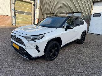 Toyota Rav-4 2.5 Hybrid AWD Bi-Tone 2019/11
