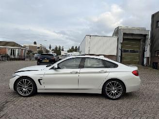 BMW 4-serie 420D 190Pk Centiennial High Executive Schuifdak Head-Up picture 3