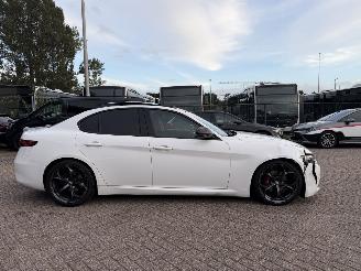 Alfa Romeo Giulia 2.2D Automaat Super Pano picture 7