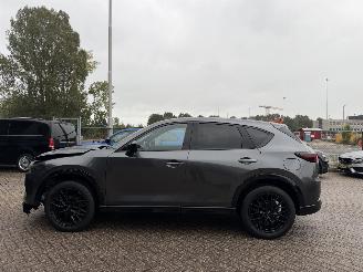 Mazda CX-5 2.5 eSkyActive-G M Hybrid 194 Newground Bose Head-Up 360Camera picture 3