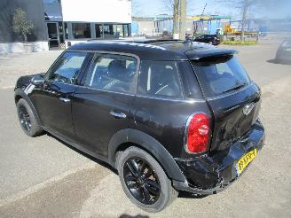Mini Countryman 1.6 I COOPER EDITION CLIMA NAVI PANO picture 10