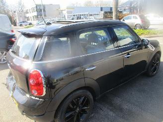 Mini Countryman 1.6 I COOPER EDITION CLIMA NAVI PANO picture 8