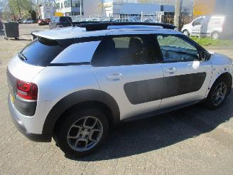 Citroën C4 cactus PURETECH BUSINESS CLIMA NAVI CLIMA  PANO picture 6
