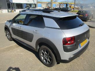 Citroën C4 cactus PURETECH BUSINESS CLIMA NAVI CLIMA  PANO picture 8