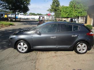 Renault Mégane TCE DYNAMIC CLIMA NAVI picture 2