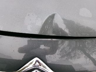 Citroën C3 picasso 1.4 I EXCLUSIVE CLIMA PANO picture 6