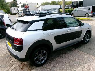 Citroën C4 cactus PURETECH BUSINESS NAVI CLIMA PANO picture 8