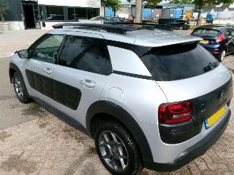 Citroën C4 cactus PURETECH BUSINESS NAVI CLIMA PANO picture 10