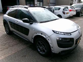 Citroën C4 cactus PURETECH BUSINESS NAVI CLIMA PANO picture 4