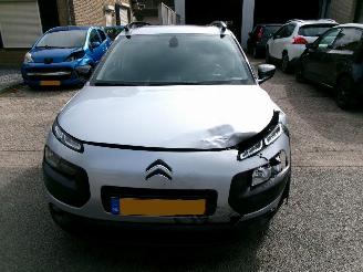 Citroën C4 cactus PURETECH BUSINESS NAVI CLIMA PANO picture 3
