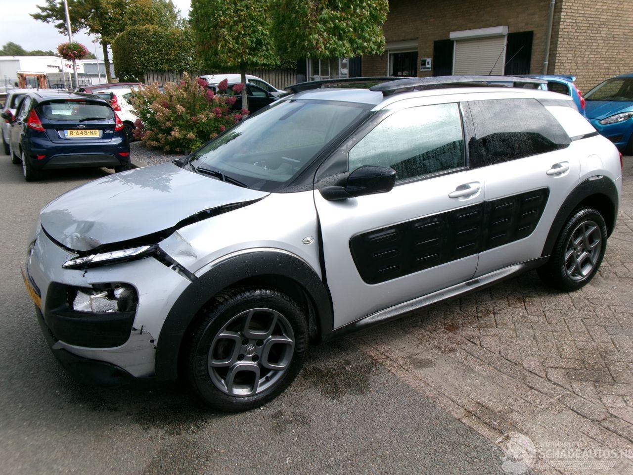 Citroën C4 cactus PURETECH BUSINESS NAVI CLIMA PANO