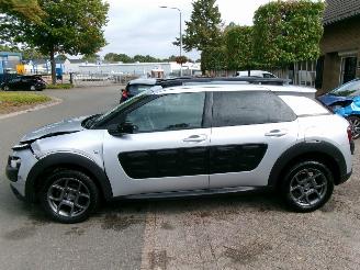 Citroën C4 cactus PURETECH BUSINESS NAVI CLIMA PANO picture 2