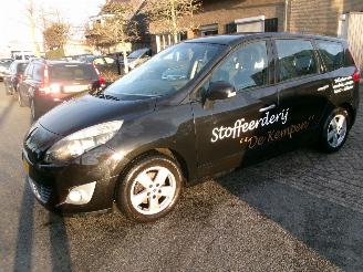 Schadeauto Renault Grand-scenic 1.4 I BUSINESS SPORT 7 PERSOONS CLIMA 2010/1