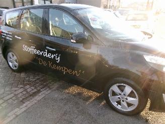 Renault Grand-scenic 1.4 I BUSINESS SPORT 7 PERSOONS CLIMA picture 6