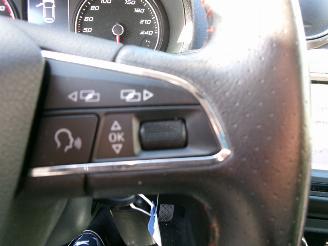 Seat Ibiza FR CONNECT CLIMA NAVI PANO picture 21