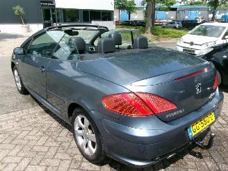 Peugeot 307 1.6-16V CABRIOLET CLIMA LEDER picture 8