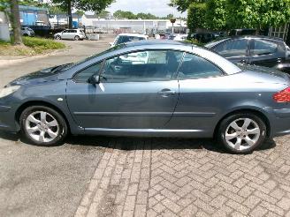Peugeot 307 1.6-16V CABRIOLET CLIMA LEDER picture 10
