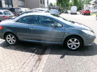 Peugeot 307 1.6-16V CABRIOLET CLIMA LEDER picture 12