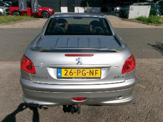 Peugeot 206 1.6-16V ROLAND-GARROS CABRIO picture 8