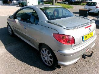 Peugeot 206 1.6-16V ROLAND-GARROS CABRIO picture 10