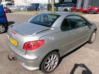 Peugeot 206 1.6-16V ROLAND-GARROS CABRIO picture 7
