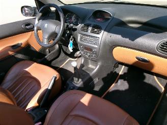Peugeot 206 1.6-16V ROLAND-GARROS CABRIO picture 16
