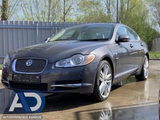 Coche siniestrado Jaguar XF XF (CC9), Sedan, 2008 / 2015 3.0 D V6 24V 2010