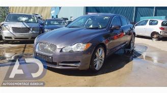 Jaguar XF XF (CC9), Sedan, 2008 / 2015 3.0 D V6 24V picture 2