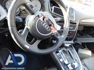 Audi SQ5 SQ5 (8RB), SUV, 2012 / 2017 3.0 TDI V6 24V picture 4