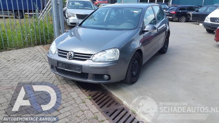 Volkswagen Golf Golf V (1K1), Hatchback, 2003 / 2010 1.9 TDI