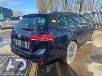 Volkswagen Golf Golf VII Variant (AUVV), Combi, 2013 / 2021 1.4 TSI 16V picture 5