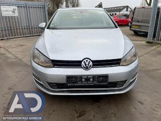 Volkswagen Golf Golf VII (AUA), Hatchback, 2012 / 2021 1.2 TSI 16V picture 2