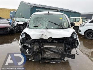 Renault Kangoo Kangoo Express (FW), Van, 2008 1.5 dCi 75 FAP picture 2