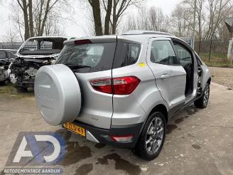 Ford EcoSport EcoSport (JK8), SUV, 2013 1.0 EcoBoost 12V 125 picture 5